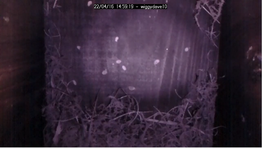 BirdBox back to an empty box