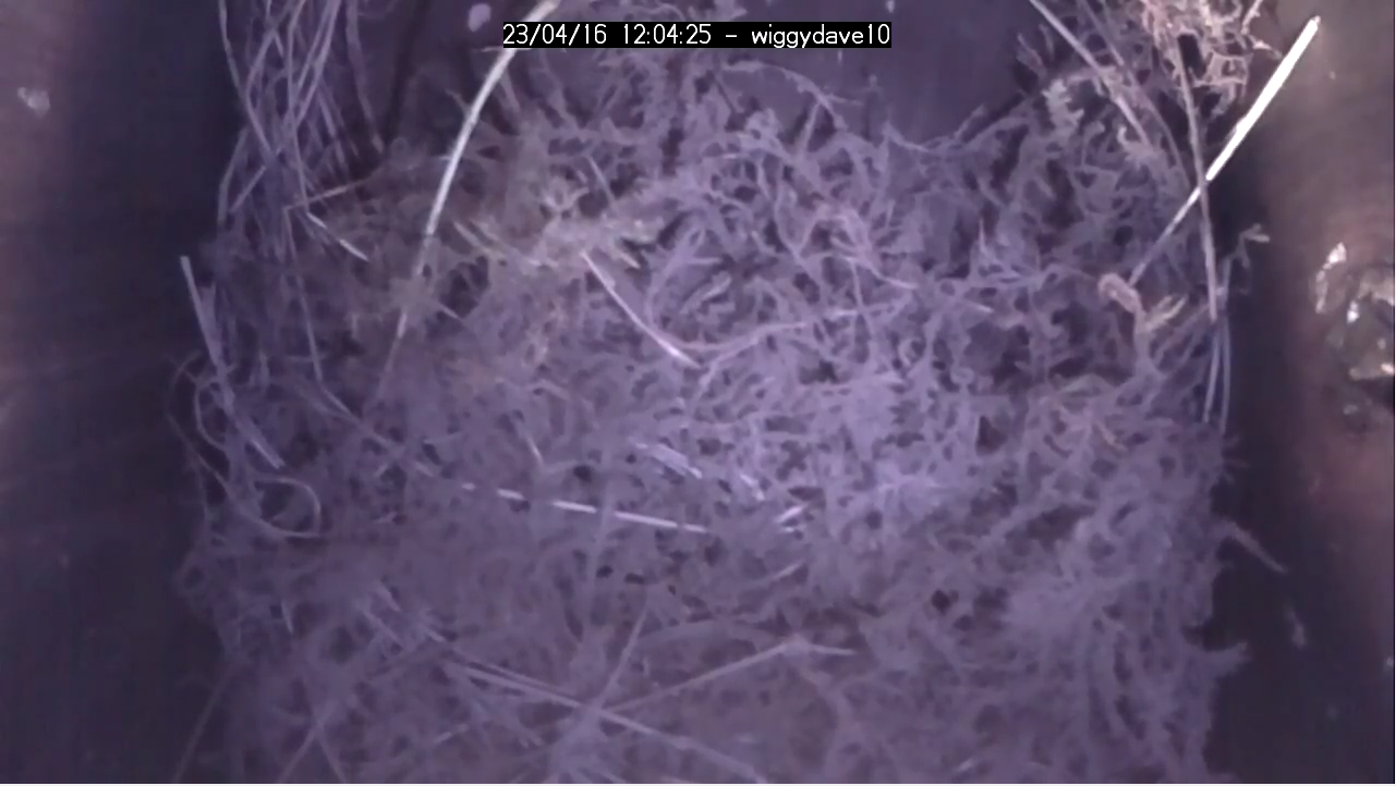 BirdBox filling it back up